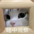 用戶頭像